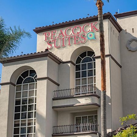 Peacock Suites Anaheim Exteriör bild